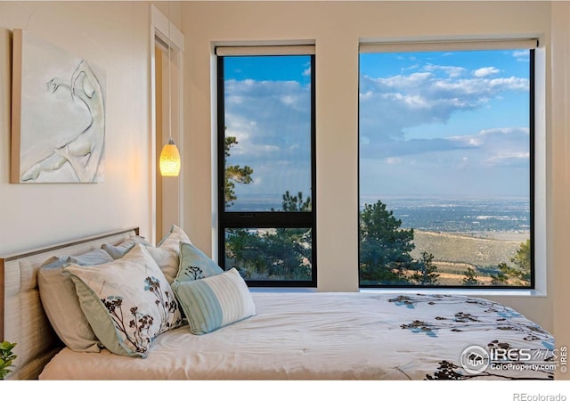 9360 Gold Mine Rd, Loveland, CO 80538 - view of bedroom