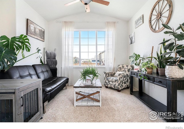 7235 Andover St, Wellington, CO 80549 - carpeted living area with vaulted ceiling and a ceiling fan