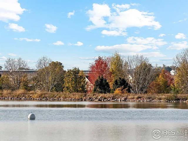 view of water feature