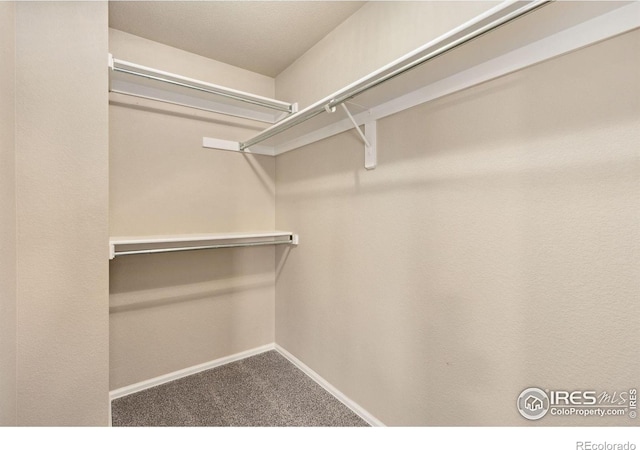 walk in closet with carpet flooring