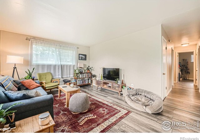 16475 W 14th Pl, Golden, CO 80401 - photo 4
