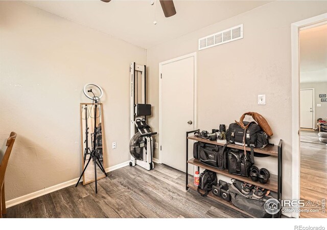 16475 W 14th Pl, Golden, CO 80401 - photo 20