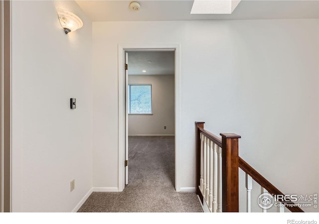 4619 Chestnut Ln, Boulder, CO 80301 - photo 22