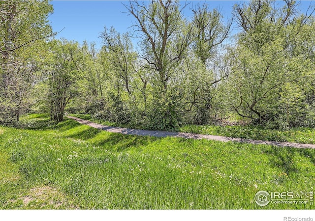4619 Chestnut Ln, Boulder, CO 80301 - photo 26