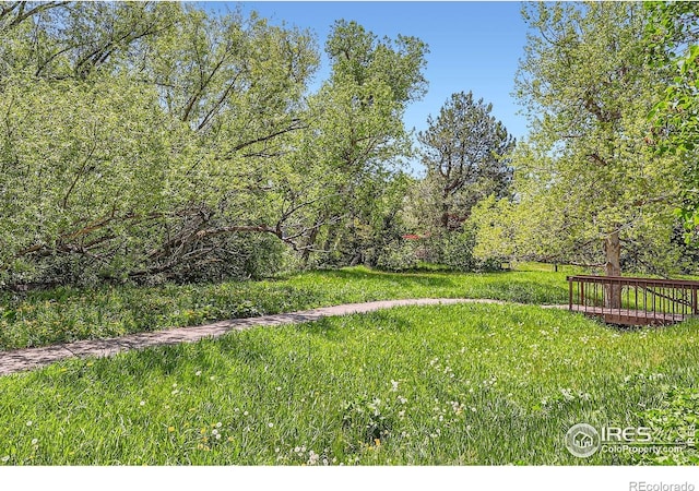 4619 Chestnut Ln, Boulder, CO 80301 - photo 28