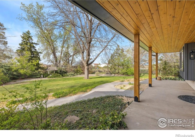 view of grassy yard with a patio