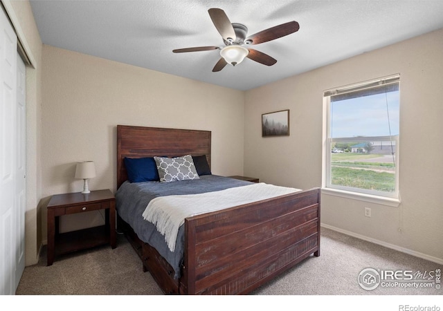3172 49th Ave, Greeley, CO 80634 - photo 25