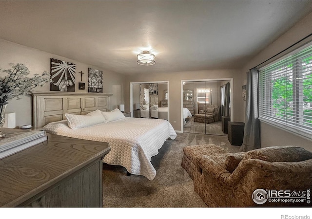 1561 Belmont Dr, Longmont, CO 80503 - view of carpeted bedroom
