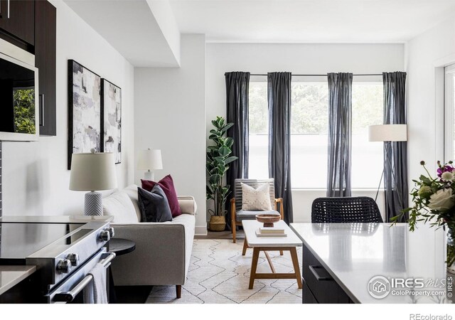 1707 Walnut St Unit 105, Boulder, CO 80302