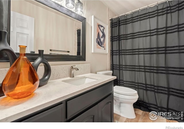 full bathroom featuring toilet, vanity, and wood finished floors