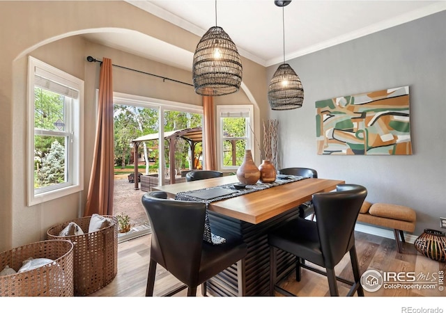 5624 Taylor Ln, Fort Collins, CO 80528
