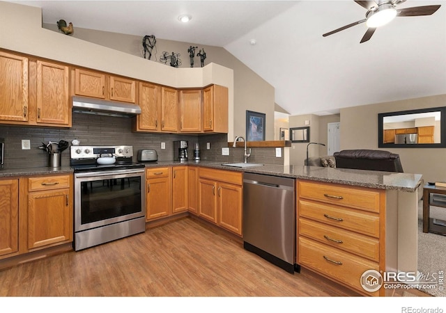 1380 Swainson Rd, Eaton, CO 80615 - kitchen featuring appliances with stainless steel finishes, under cabinet range hood, a sink, lofted ceiling, and a peninsula