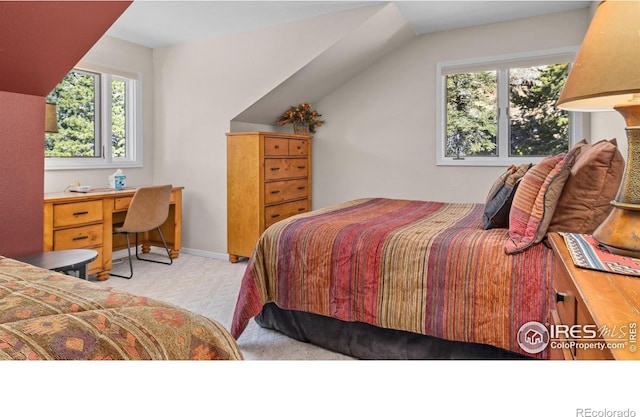 1731 Aspencliff Ct Unit 1 & 2, Estes Park, CO 80517 - photo 17