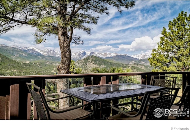 1731 Aspencliff Ct Unit 1 & 2, Estes Park, CO 80517 - photo 23