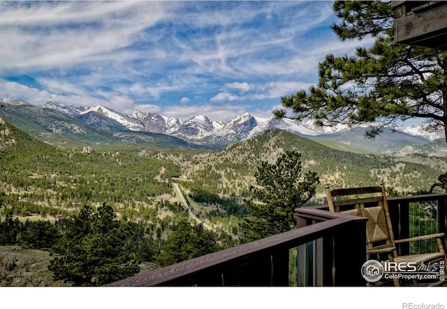 1731 Aspencliff Ct Unit 1 & 2, Estes Park, CO 80517 - photo 24
