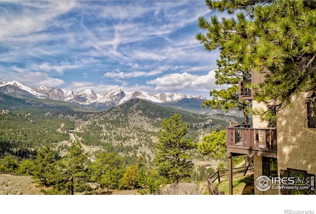 1731 Aspencliff Ct Unit 1 & 2, Estes Park, CO 80517 - photo 38