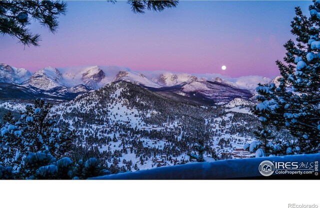 1731 Aspencliff Ct Unit 1 & 2, Estes Park, CO 80517 - photo 39