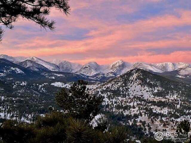1731 Aspencliff Ct Unit 1 & 2, Estes Park, CO 80517 - photo 40