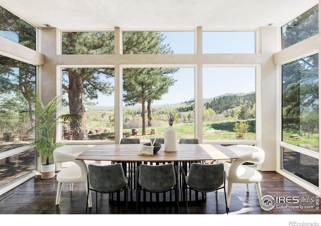 sunroom featuring a high ceiling, a mountain view, and wood finished floors