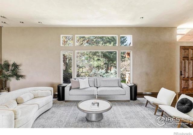living room with wood finished floors