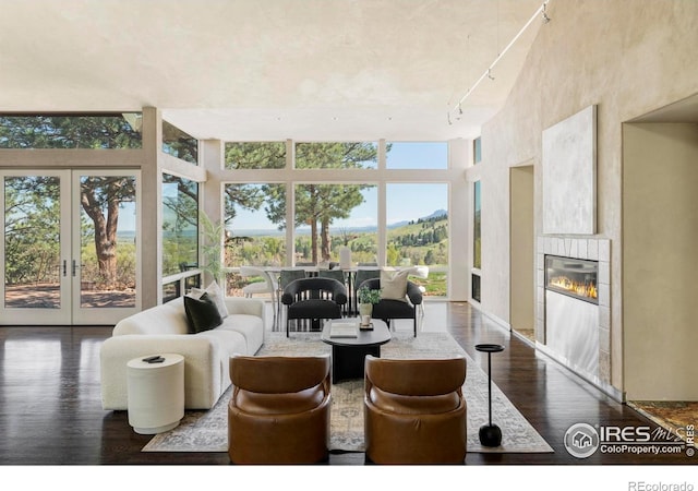 living room with track lighting, wood finished floors, a wall of windows, french doors, and a fireplace