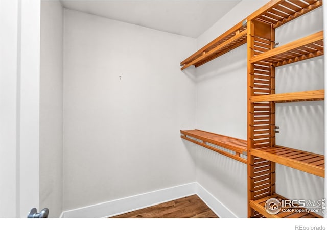 walk in closet featuring wood finished floors