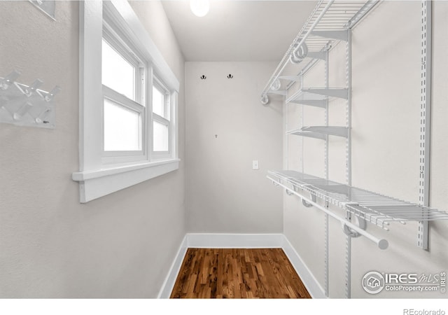 spacious closet featuring wood finished floors