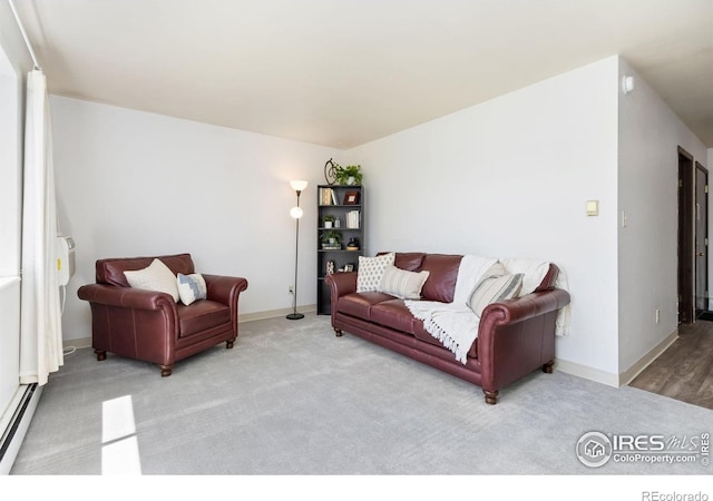 705 E Drake Rd Unit 22, Fort Collins, CO 80525 - carpeted living area with baseboard heating and baseboards