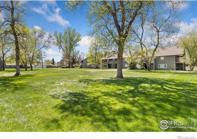 705 E Drake Rd Unit 22, Fort Collins, CO 80525 - view of grassy yard