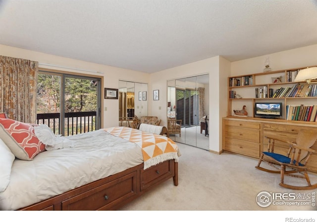 620 Macgregor Ave Unit 2, Estes Park, CO 80517 - bedroom with access to exterior and light carpet