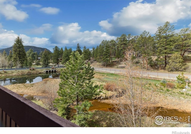 620 Macgregor Ave Unit 2, Estes Park, CO 80517 - view of yard featuring a mountain view