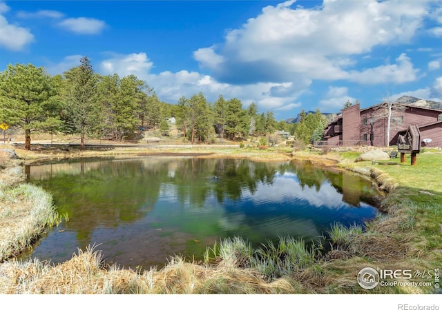 620 Macgregor Ave Unit 2, Estes Park, CO 80517 - water view