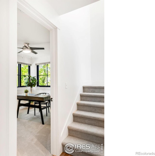 1838 22nd St, Boulder, CO 80302 - stairs featuring a ceiling fan and carpet floors