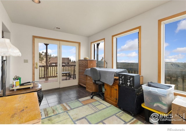 331 Laplata Dr, Livermore, CO 80536 - home office featuring healthy amount of natural light and tile patterned floors