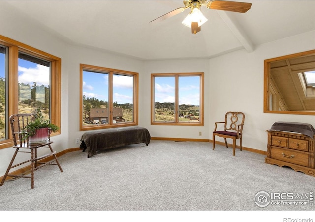 331 Laplata Dr, Livermore, CO 80536 - carpeted bedroom featuring multiple windows, baseboards, beamed ceiling, and a skylight