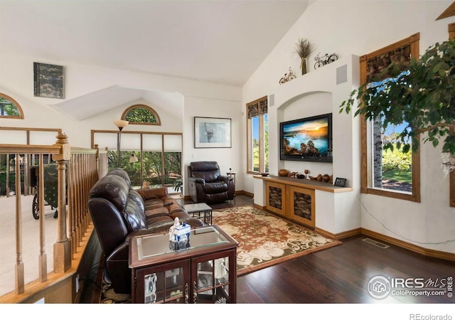 7309 Didrickson Ct, Fort Collins, CO 80528 - living area featuring wood finished floors, baseboards, and high vaulted ceiling