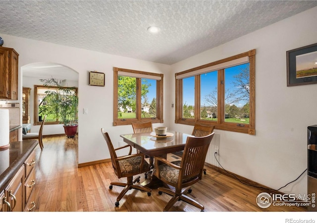 7309 Didrickson Ct, Fort Collins, CO 80528 - dining space with arched walkways, baseboards, healthy amount of natural light, light wood finished floors, and a textured ceiling