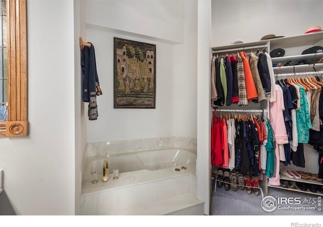 7309 Didrickson Ct, Fort Collins, CO 80528 - full bath with a walk in closet and a bath