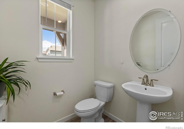 527 Yeager St, Fort Collins, CO 80524 - photo 19