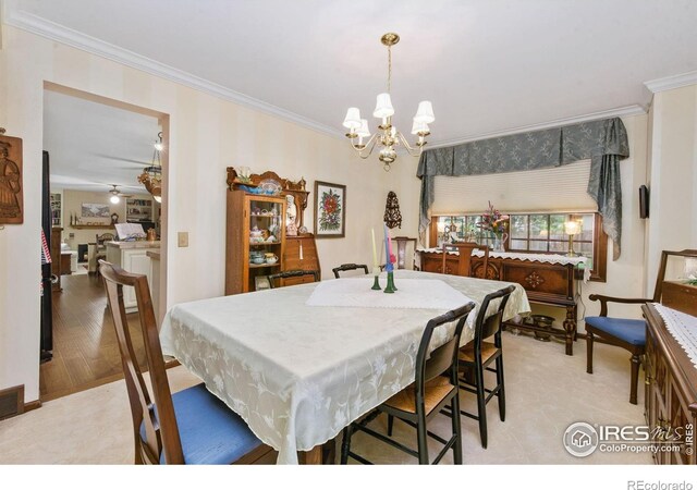 1219 Mansfield Dr, Fort Collins, CO 80525 - photo 12