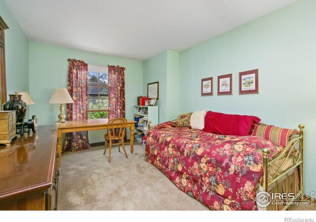 1219 Mansfield Dr, Fort Collins, CO 80525 - photo 19