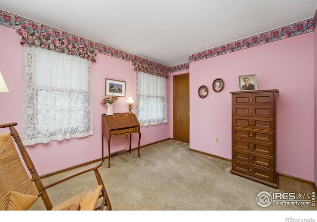 1219 Mansfield Dr, Fort Collins, CO 80525 - photo 22