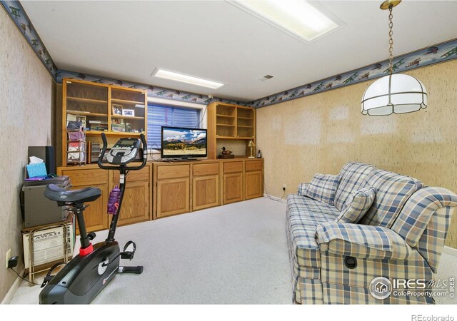 1219 Mansfield Dr, Fort Collins, CO 80525 - photo 24