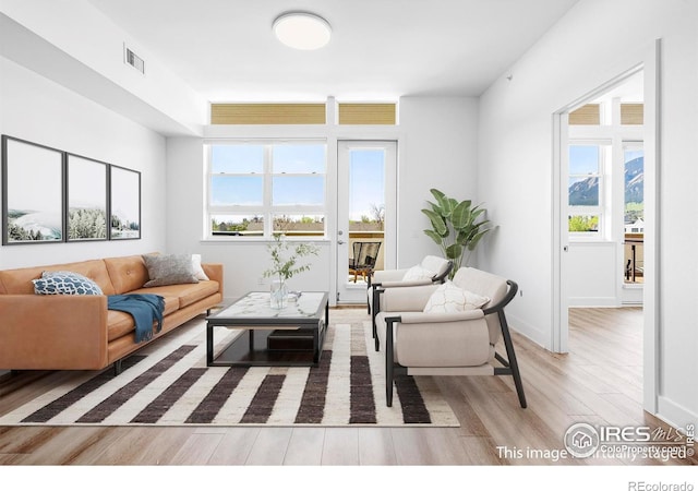 living area featuring wood finished floors