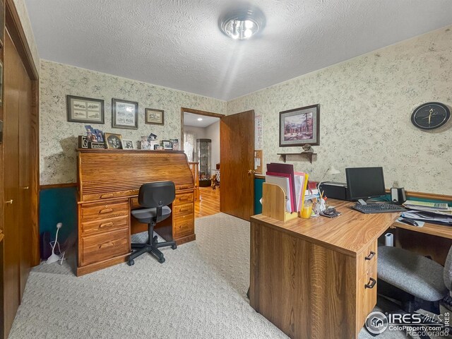 1145 S Bowman Ave, Holyoke, CO 80734 - office space featuring wallpapered walls, wainscoting, carpet flooring, and a textured ceiling