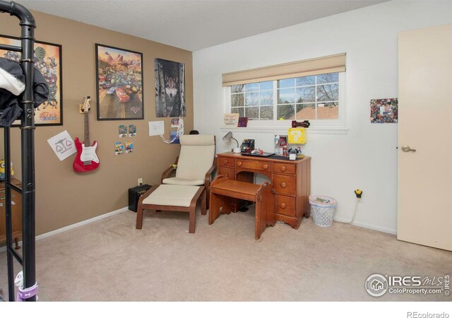 8479 Everett Way Unit E, Arvada, CO 80005 - photo 13