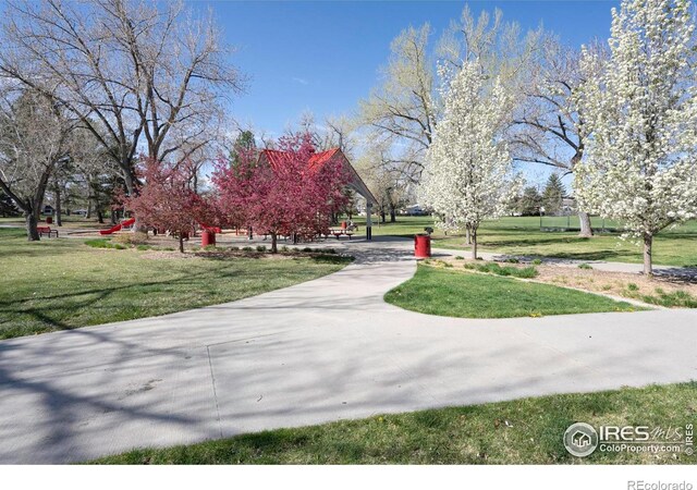 8479 Everett Way Unit E, Arvada, CO 80005 - photo 24