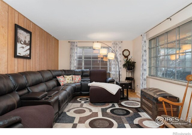 living room with wood walls