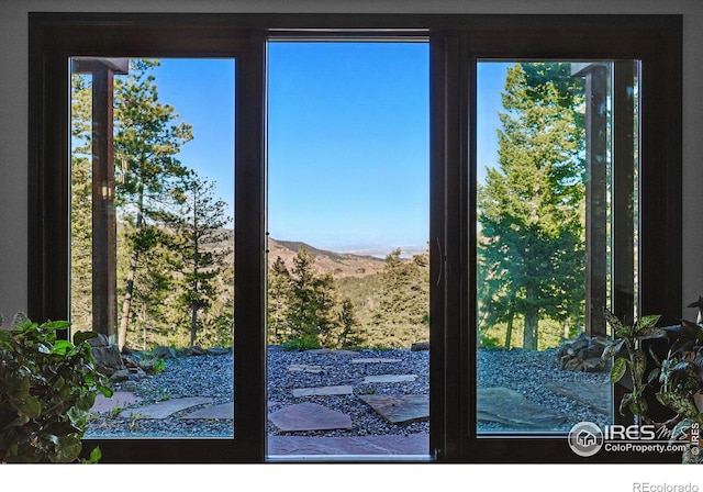 doorway with healthy amount of natural light and a mountain view