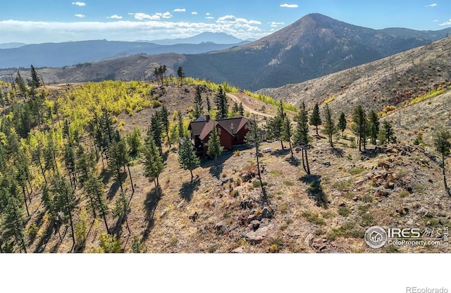 mountain view